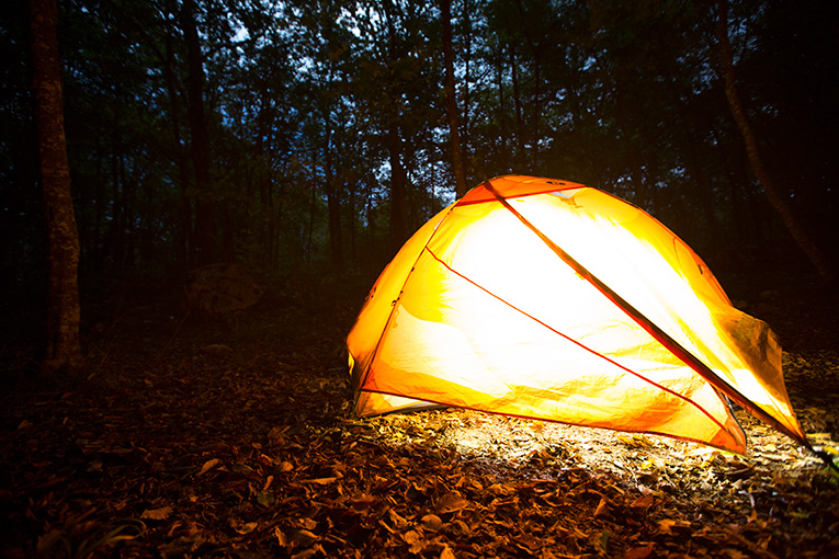 палатка в лесу